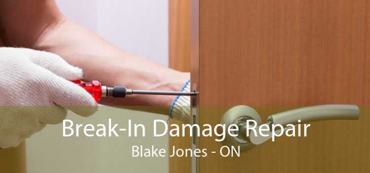 Break-In Damage Repair Blake Jones - ON