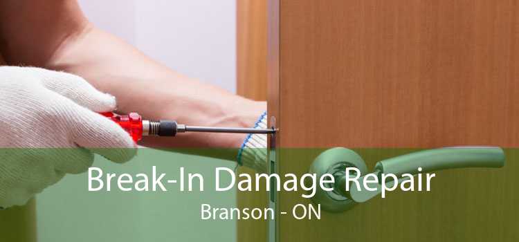 Break-In Damage Repair Branson - ON