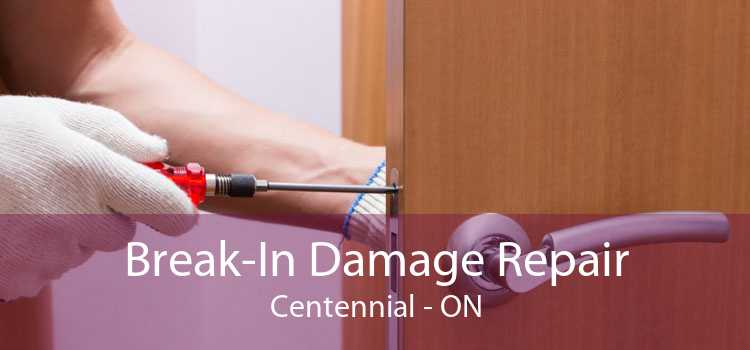 Break-In Damage Repair Centennial - ON