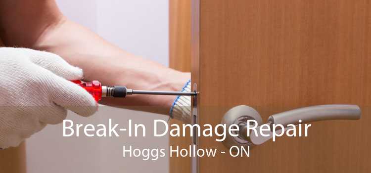 Break-In Damage Repair Hoggs Hollow - ON