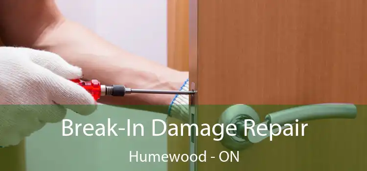  Break-In Damage Repair Humewood - ON