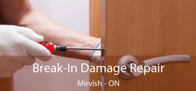 Break-In Damage Repair Mirvish - ON