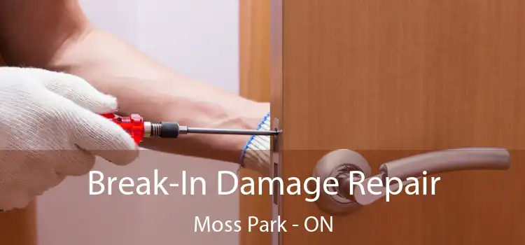  Break-In Damage Repair Moss Park - ON