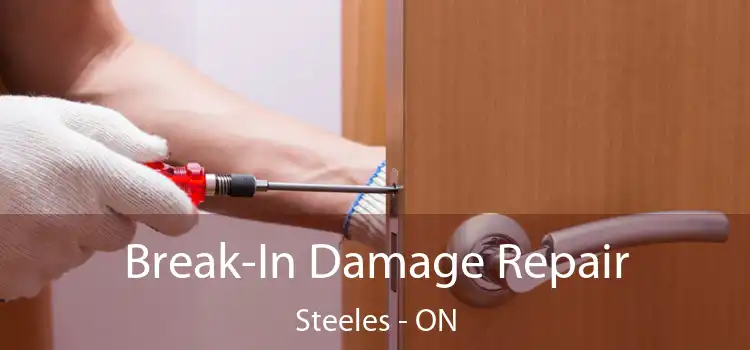  Break-In Damage Repair Steeles - ON