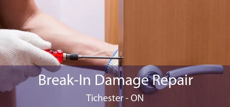  Break-In Damage Repair Tichester - ON