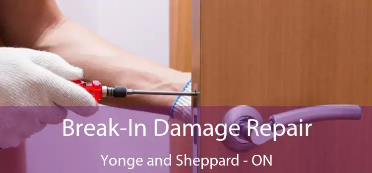 Break-In Damage Repair Yonge and Sheppard - ON