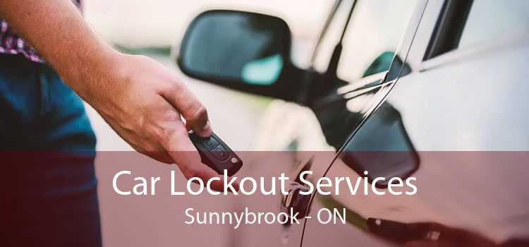 Car Lockout Services Sunnybrook - ON