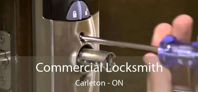  Commercial Locksmith Carleton - ON
