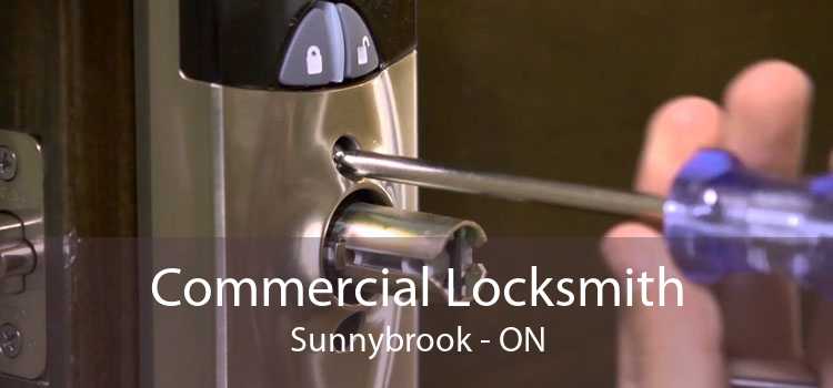 Commercial Locksmith Sunnybrook - ON