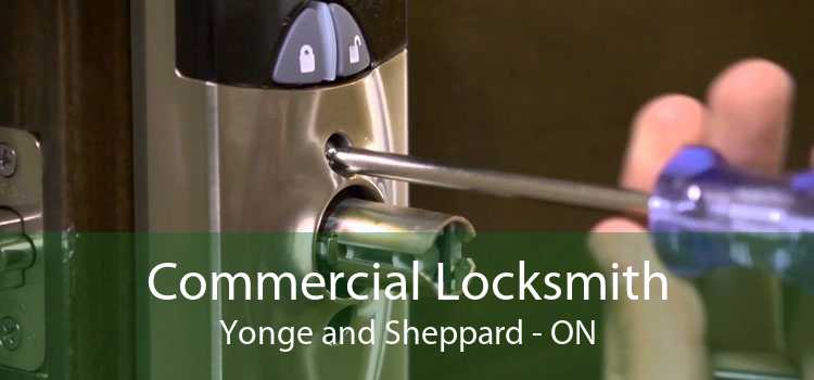 Commercial Locksmith Yonge and Sheppard - ON