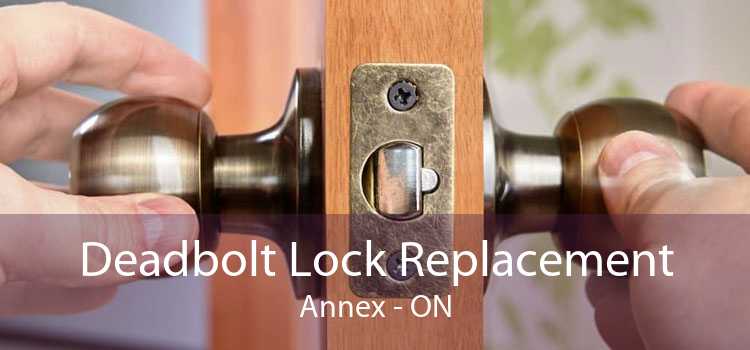 Deadbolt Lock Replacement Annex - ON