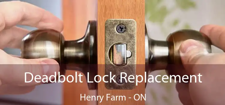  Deadbolt Lock Replacement Henry Farm - ON