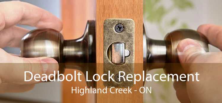 Deadbolt Lock Replacement Highland Creek - ON