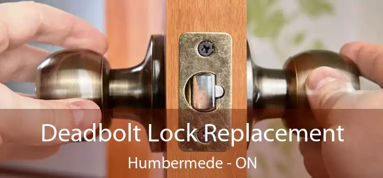  Deadbolt Lock Replacement Humbermede - ON