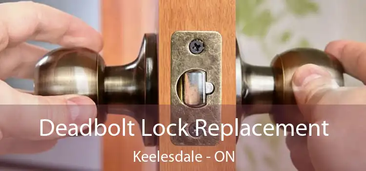  Deadbolt Lock Replacement Keelesdale - ON