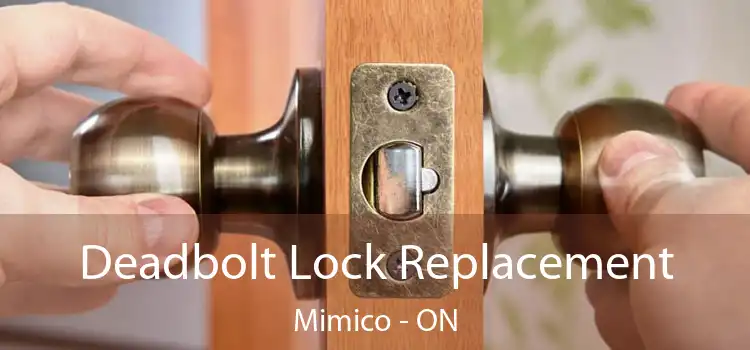  Deadbolt Lock Replacement Mimico - ON