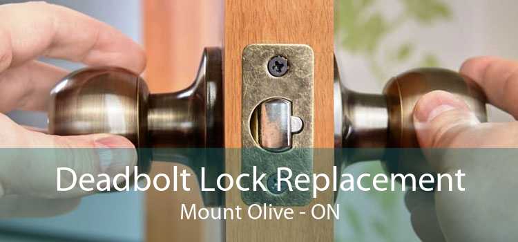 Deadbolt Lock Replacement Mount Olive - ON