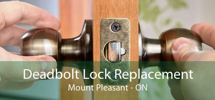 Deadbolt Lock Replacement Mount Pleasant - ON
