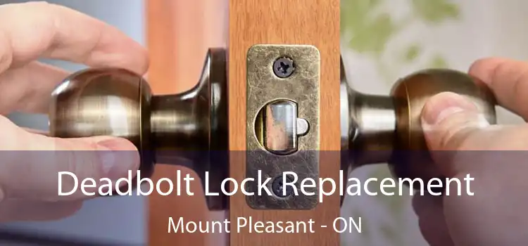  Deadbolt Lock Replacement Mount Pleasant - ON