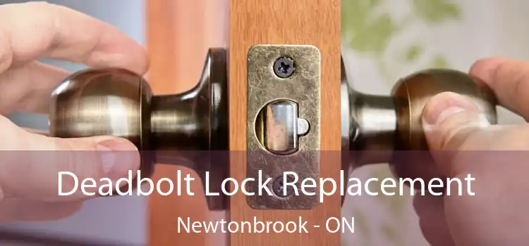  Deadbolt Lock Replacement Newtonbrook - ON