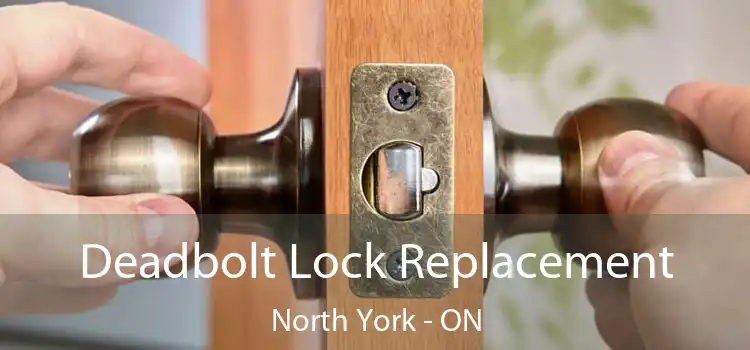  Deadbolt Lock Replacement North York - ON