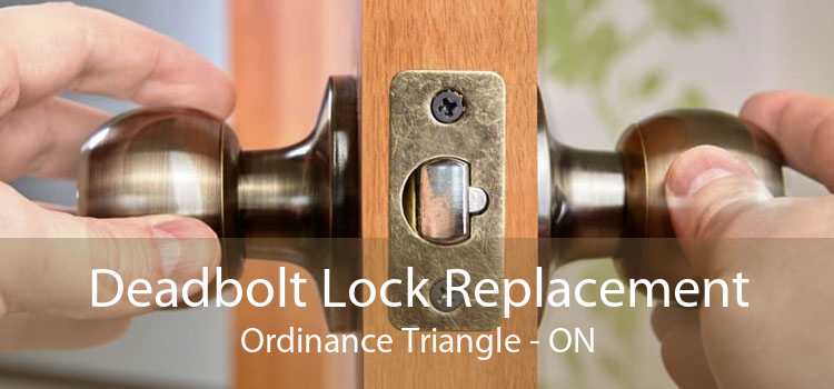 Deadbolt Lock Replacement Ordinance Triangle - ON