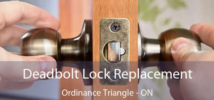  Deadbolt Lock Replacement Ordinance Triangle - ON