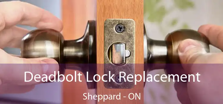  Deadbolt Lock Replacement Sheppard - ON