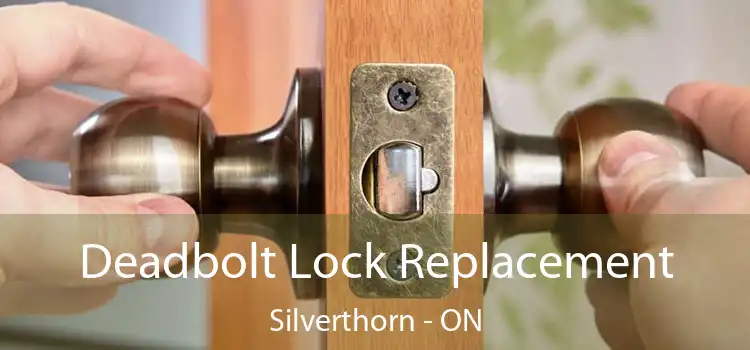  Deadbolt Lock Replacement Silverthorn - ON