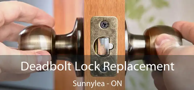  Deadbolt Lock Replacement Sunnylea - ON