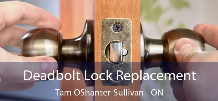  Deadbolt Lock Replacement Tam OShanter-Sullivan - ON