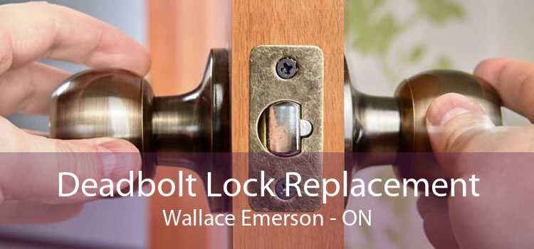 Deadbolt Lock Replacement Wallace Emerson - ON