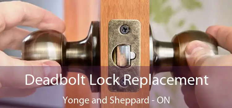  Deadbolt Lock Replacement Yonge and Sheppard - ON