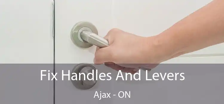  Fix Handles And Levers Ajax - ON