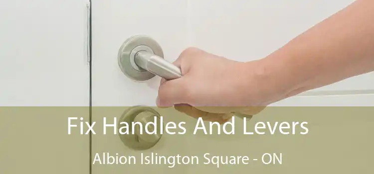  Fix Handles And Levers Albion Islington Square - ON