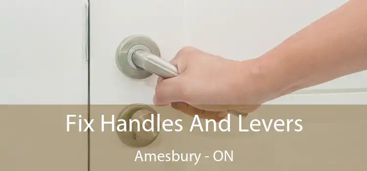  Fix Handles And Levers Amesbury - ON
