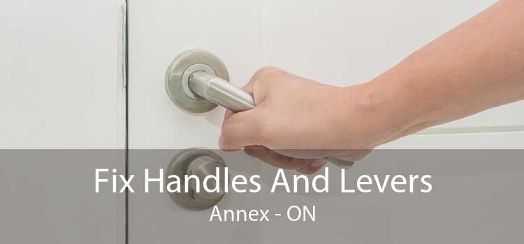 Fix Handles And Levers Annex - ON