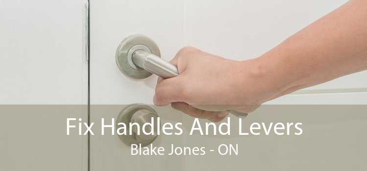 Fix Handles And Levers Blake Jones - ON