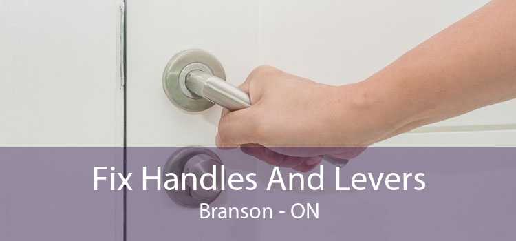 Fix Handles And Levers Branson - ON