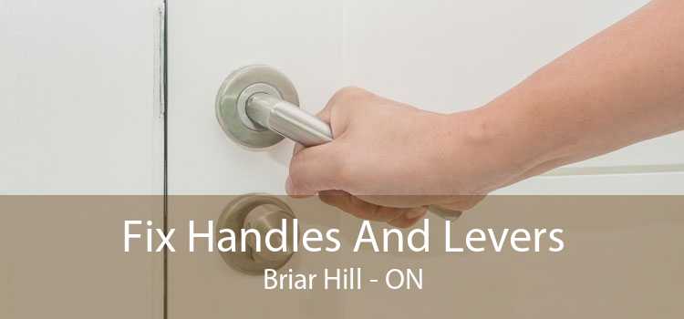Fix Handles And Levers Briar Hill - ON