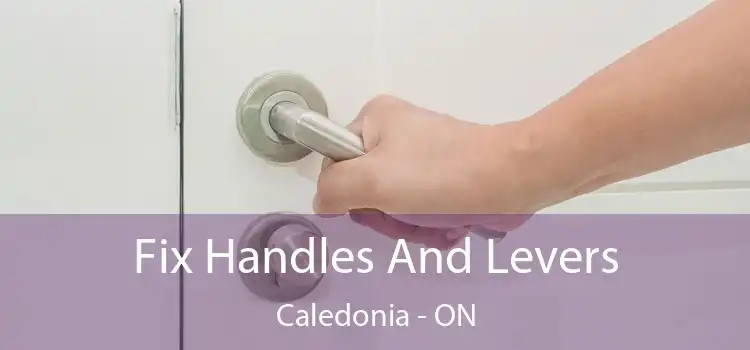  Fix Handles And Levers Caledonia - ON