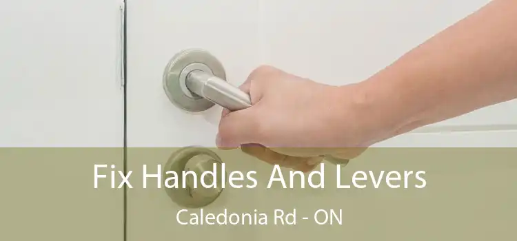 Fix Handles And Levers Caledonia Rd - ON
