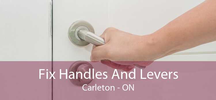 Fix Handles And Levers Carleton - ON