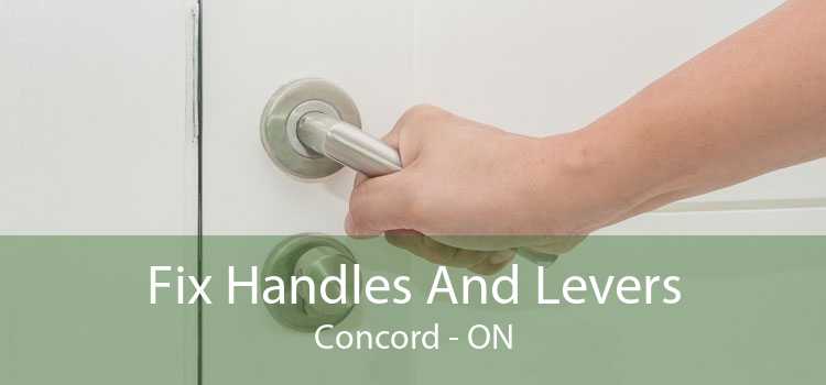 Fix Handles And Levers Concord - ON