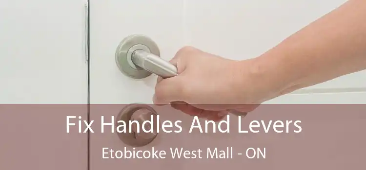  Fix Handles And Levers Etobicoke West Mall - ON