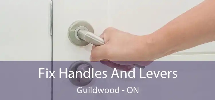  Fix Handles And Levers Guildwood - ON
