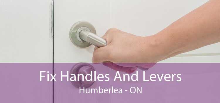 Fix Handles And Levers Humberlea - ON