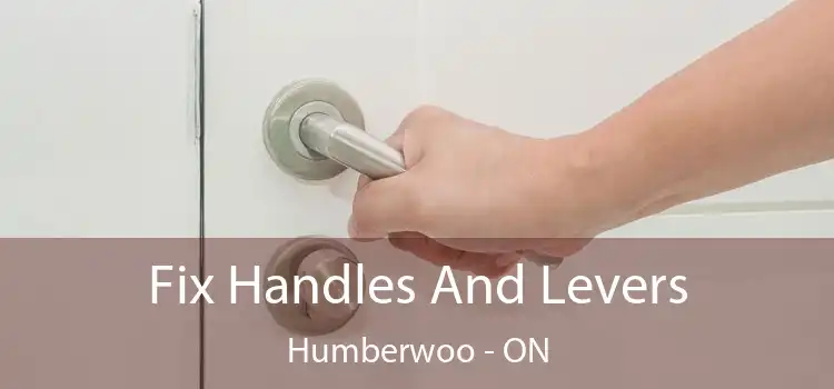  Fix Handles And Levers Humberwoo - ON