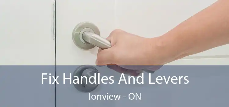  Fix Handles And Levers Ionview - ON