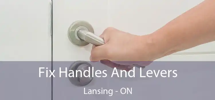  Fix Handles And Levers Lansing - ON